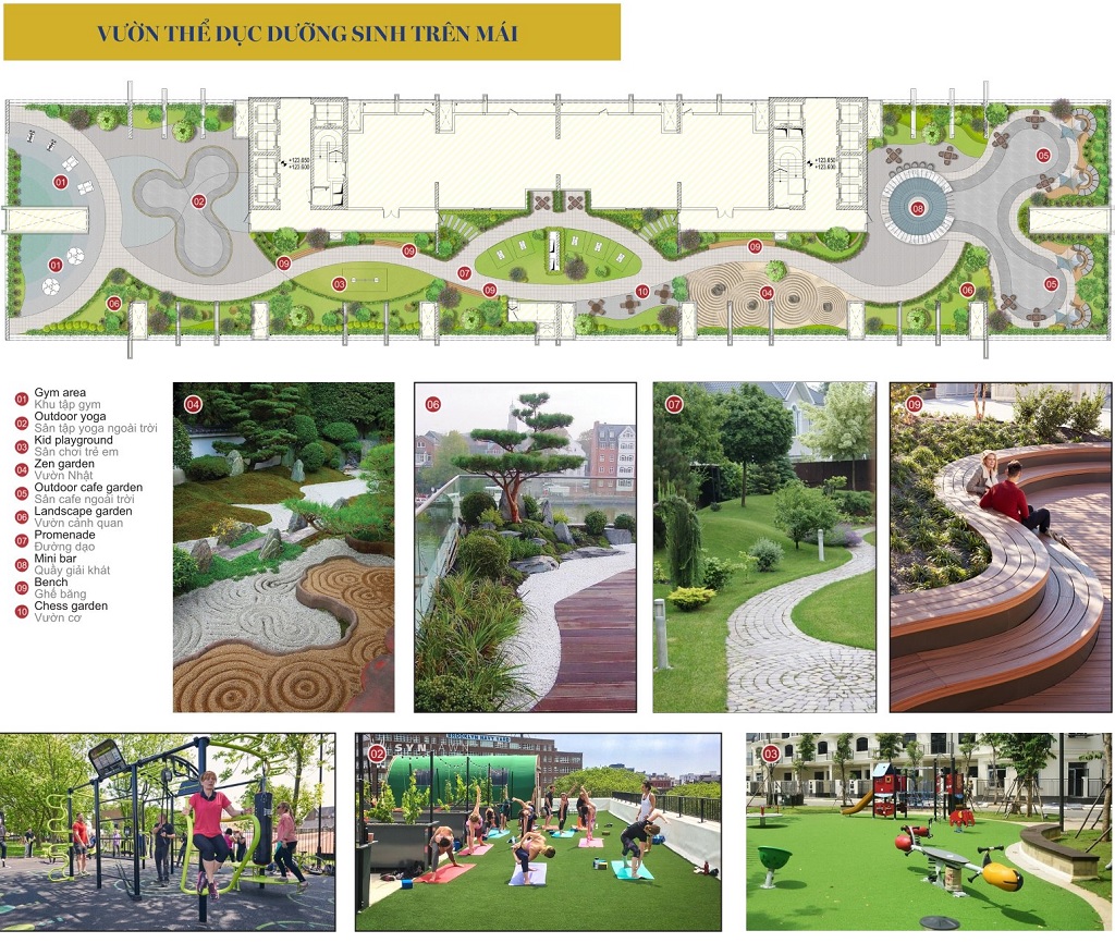 vihacomplex via leciva vuon tren cao