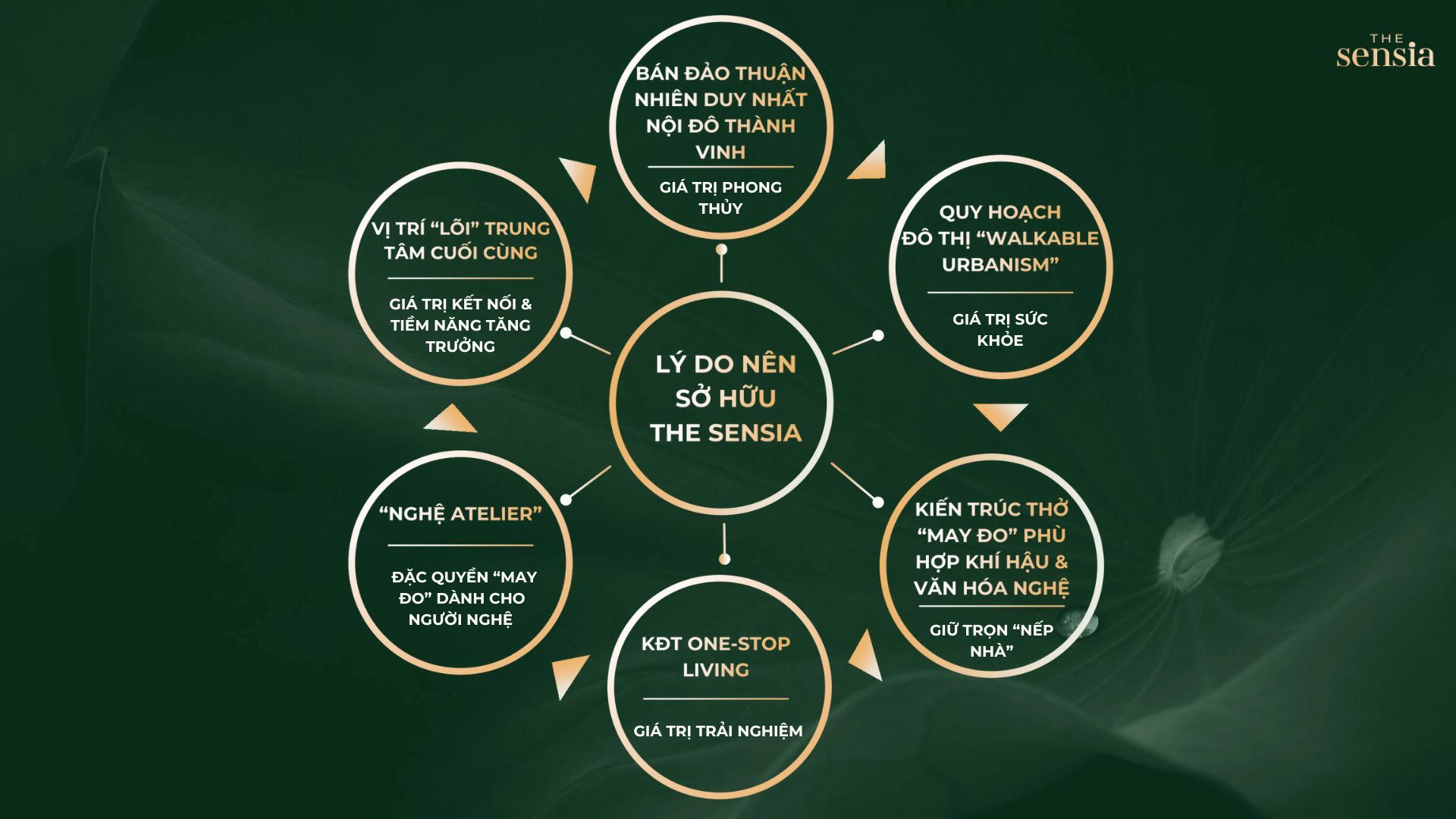 ly do nen so huu The Sensia