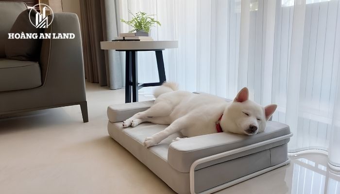 Pháp luật Việt Nam hiện không có quy định cấm chung việc nuôi chó, mèo trong căn hộ chung cư