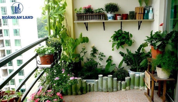 Chung cư gần nghĩa trang có nên mua để ở và đầu tư hay không? 4 Cây xanh giúp cải thiện môi trường sống và tăng tính cân bằng cho không gian