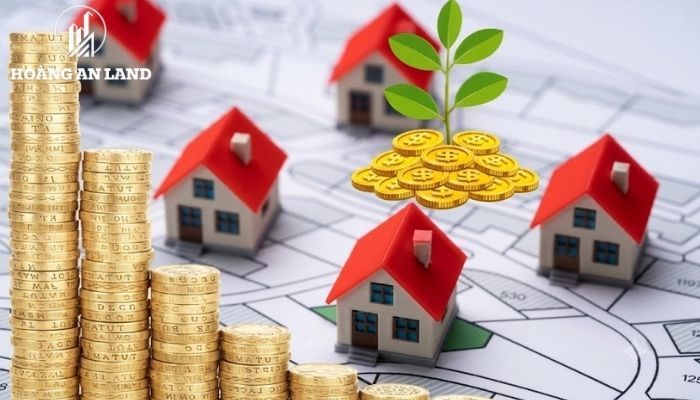 Nhà nước triển khai chính sách giảm hoặc miễn thuế sử dụng đất đối với các đối tượng chính sách